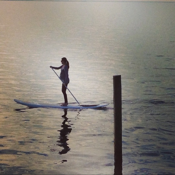 Meet your Posher, Leighton - Picture 1 of 1